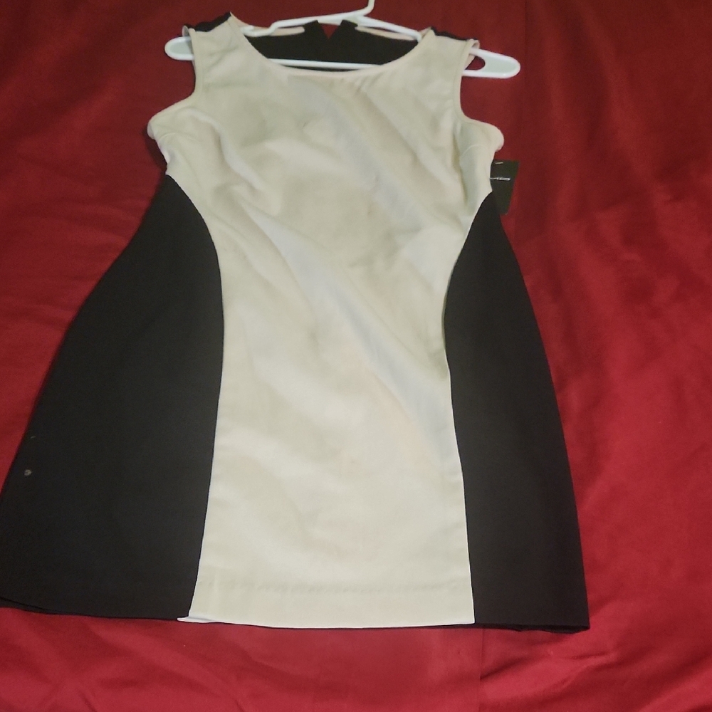 Chic Black and Cream Mini Dress